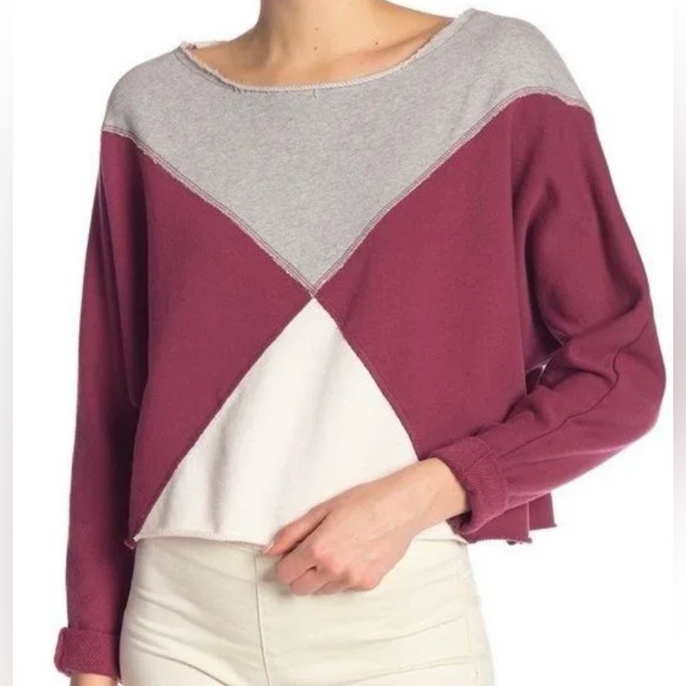 Free People Mantauk Colorblock Cropped Sweatshirt